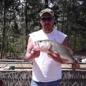 Meet your Posher, Bobby